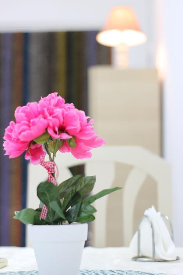 One Room شكودر المظهر الخارجي الصورة